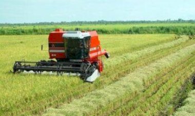 Lagoa da Confusão será palco de encontro estratégico para o fortalecimento da produção de arroz e grãos
