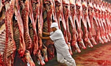 Comércio Brasil/EUA: Governo Trump propõe tarifa de 25%, mas carne bovina fica de fora