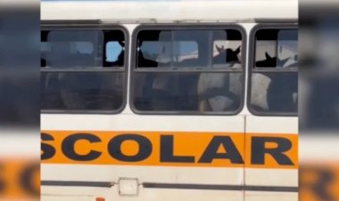 Cena inusitada: cavalos são levados em ônibus para evento no interior do Tocantins