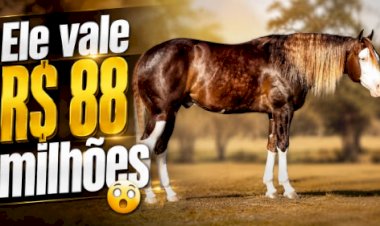 Brasil tem 6 milhões de cavalos e mercado que já vale R$ 30 bilhões