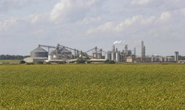 Seguro rural frágil amplia risco para produtores em meio à dívida recorde no campo