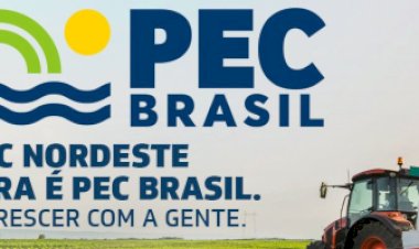 PEC BRASIL 2026