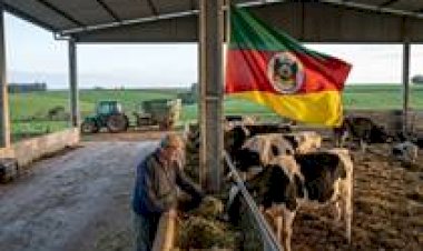 Como as pastagens e o clima estão transformando a produção de leite no RS nas últimas semanas