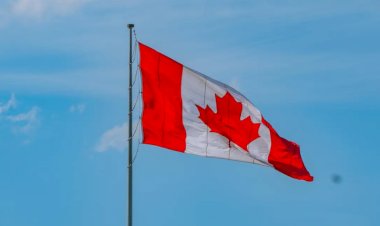 Após EUA impor tarifa de 50porcento, Canadá anuncia retaliação aos americanos