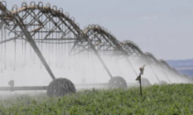 Município se tornou o primeiro entre os 5 goianos no ranking dos 10 maiores produtores do Brasil em 2025; maior uso de pivôs e proximidade de nutrientes