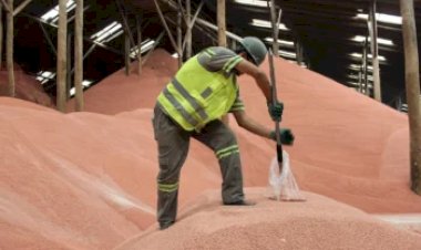 Pedidos de crédito para fertilizantes disparam 190porcento e chegam a R$ 2,9 bilhões no BNDES