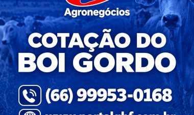 Boi gordo: preços avançam em novas regiões e reforçam tendência de alta