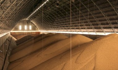 Exportações de farelo de soja reagem em outubro e voltam a superar ritmo de 2025