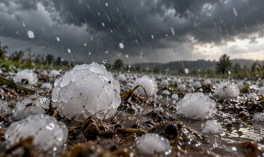 INMET alerta para tempestades em 6 estados, ventos de 100 km/h e risco de granizo