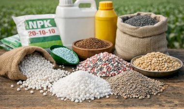 Indústria de fertilizantes faz apelo para o fim da dependência externa de insumos para agricultura