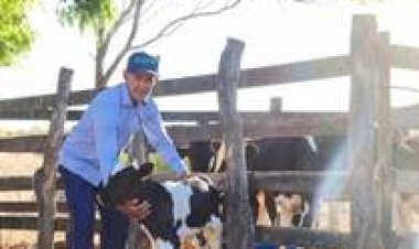 Fábrica de R$ 60 mi e 500 mil litros/dia: os planos da Alvoar Lácteos para a bacia leiteira de AL