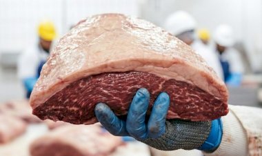 ARTIGO | Picanha não vem de boi vivo