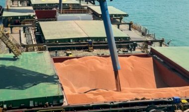 Sorgo produzido no Tocantins ganha rota de exportação para China e África pela Ferrovia Norte-Sul