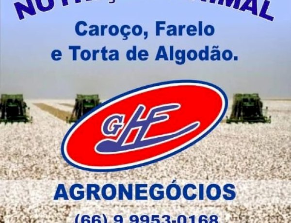A MELHOR NUTRIÇÃO ANIMAL, ENCONTRA-SE NO PORTAL GHF