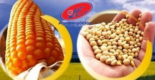 Cotações Agropecuárias