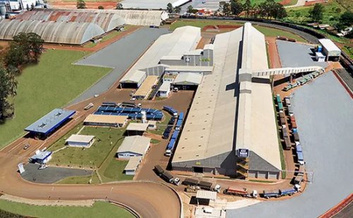 Yara vai quadruplicar fertilizantes de baixo carbono em 2026 e ampliar oferta para novas culturas