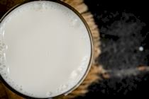 Investimento milionário marca nova fase da Trevo Lácteos