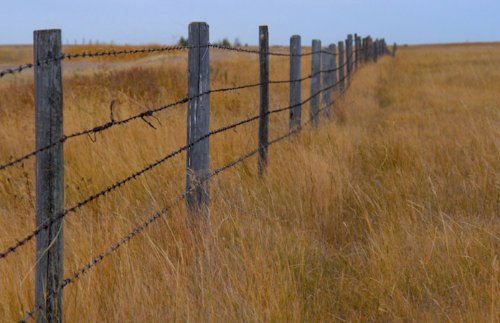 Regularização fundiária e proteção ambiental: Uma conciliação técnica e jurídica necessária