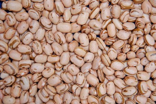 Instituição destaca mudança no cenário do feijão