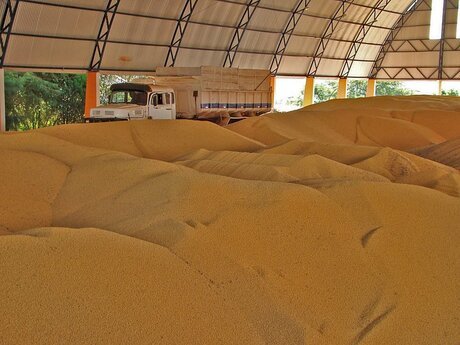 Conab projeta safra 2025/26 em 354,4 milhões de toneladas de grãos