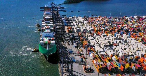 Brasil exporta 356 mil toneladas de carne bovina em novembro e 2025 já supera 2024