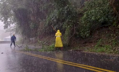 Ciclone mata três em Santa Catarina e tornado provoca destruição no Sul do Brasil