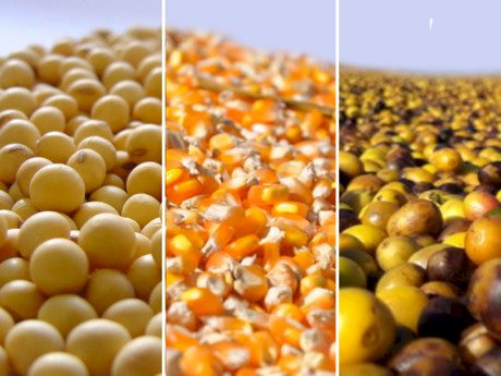 Cotações Agropecuárias