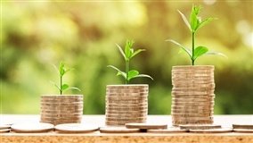 Julgamento define limites de isenção no seguro rural