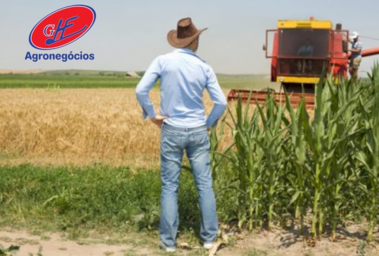 Embarques agrícolas fecham 2025 em patamar elevado, aponta ANEC