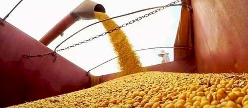 Goiás pode bater recorde histórico da soja em 2025