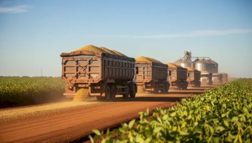 Logística no agronegócio e as perdas no transporte de grãos