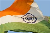 Índia registra duas raças sintéticas de gado de para impulsionar a produção de leite