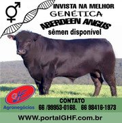 Portaria da Adapar intensifica regras para combate à brucelose e tuberculose bovina no Paraná