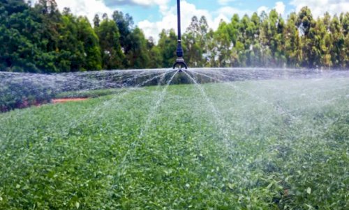 CNA critica proposta do governo e defende que produtor escolha horário de desconto na energia