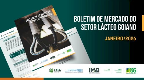 Câmara técnica da cadeia láctea registra valorização da cesta de derivados em janeiro