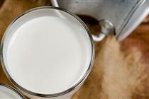 Projeto de lei propõe criação do Instituto Nacional do Leite