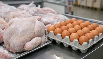 Avicultura começa 2026 sob pressão: frango cai pelo 3º mês e ovos disparam