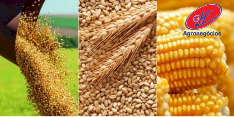 Clima e demanda movimentam mercado agrícola