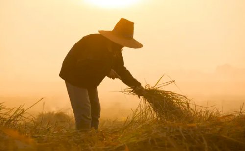 Final de semana de Carnaval tem calor e tempo estável em boa parte do Brasil
