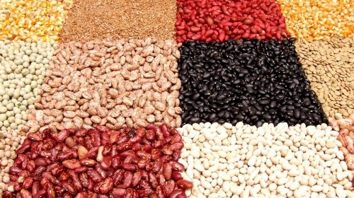 Cotações Agropecuárias