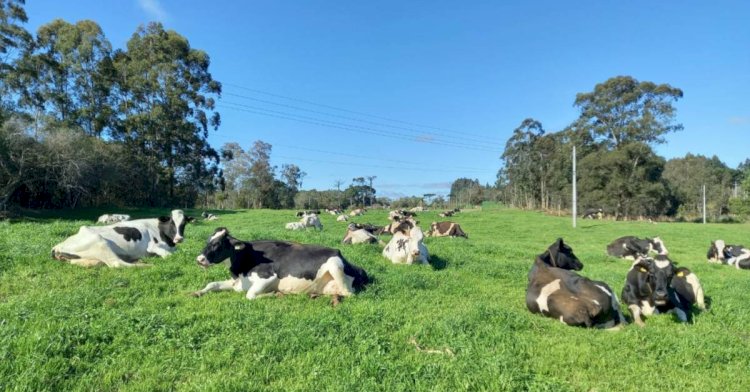 Phibro Saúde Animal une-se à Associação Brasileira de Inseminação Artificial