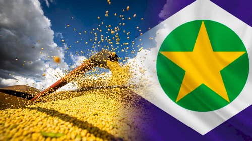 Egito sobe da 22ª para a 2ª posição entre os principais destinos das exportações de Mato Grosso em dois anos