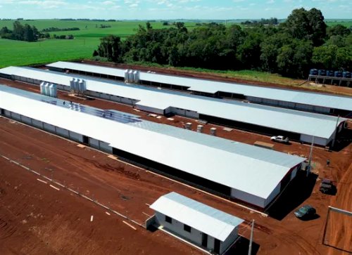 MBRF investe R$ 300 milhões em fundo do Governo do Paraná para fortalecer cadeia de aves e suínos