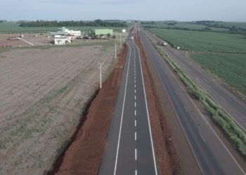 Produtores de soja do MT sofrem com problemas logísticos para escoar colheita