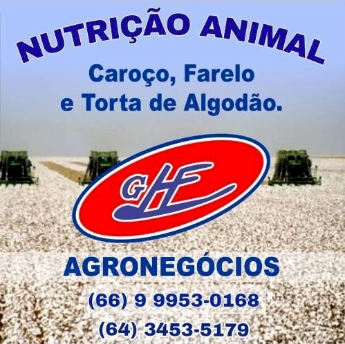 Cotações Agropecuárias