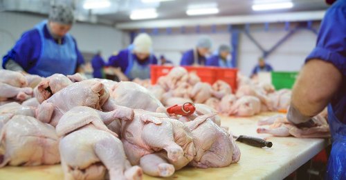 Embarques de carne de frango do Brasil crescem 5,3% em fevereiro/26, informa ABPA