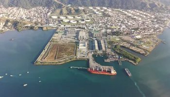 Navio pega fogo durante embarque de gado no porto de São Sebastião