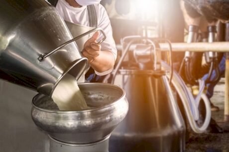 SC: mais de R$ 4,5 milhões são movimentados no 1º dia de operações do Pronampe Leite Custeio