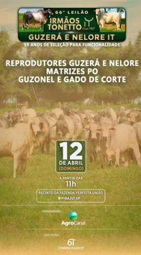 66º LEILÃO PRESENCIAL IRMÃOS TONETTO