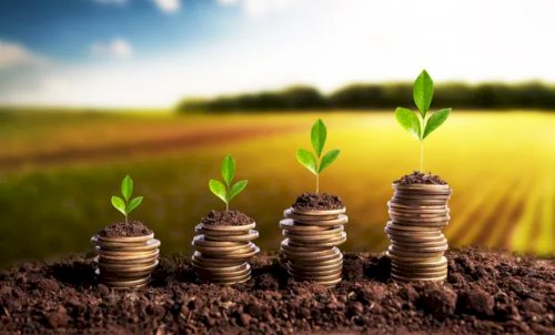 Veja aqui Cotações mista do Agro